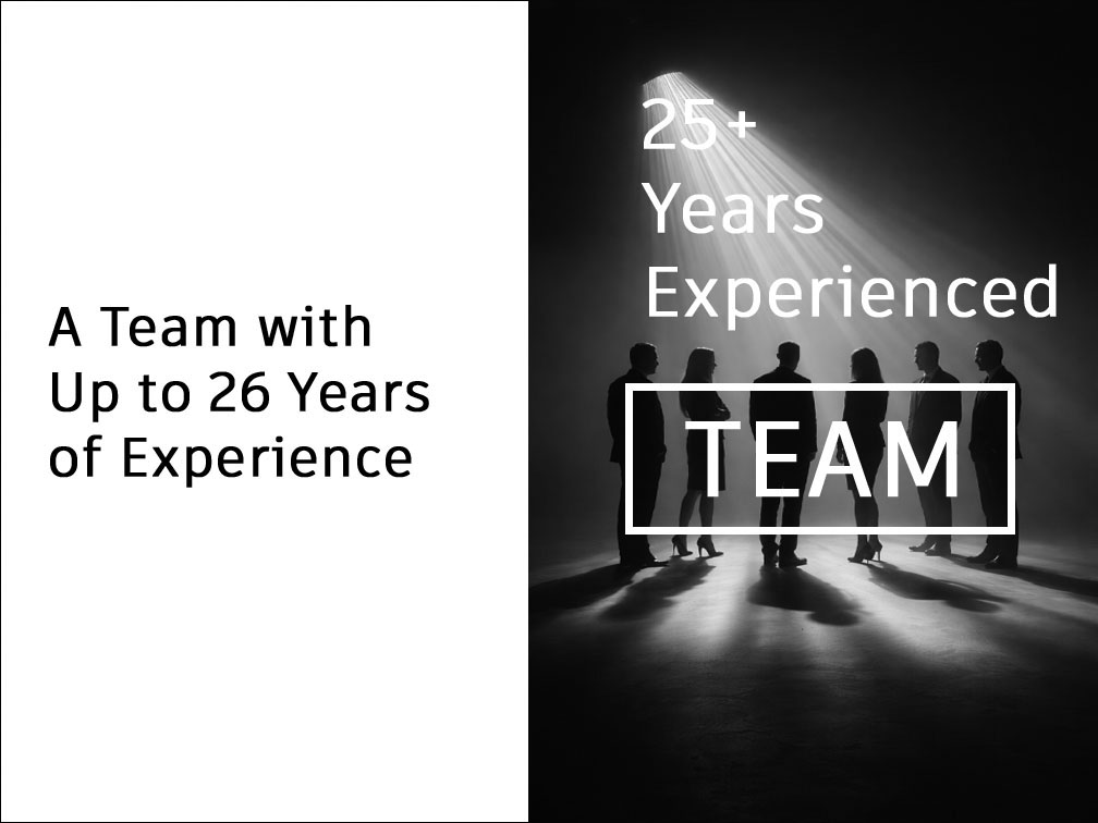 Up to 26 Years Experienced Team